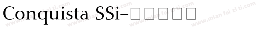 Conquista SSi字体转换